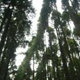 Dsc02492